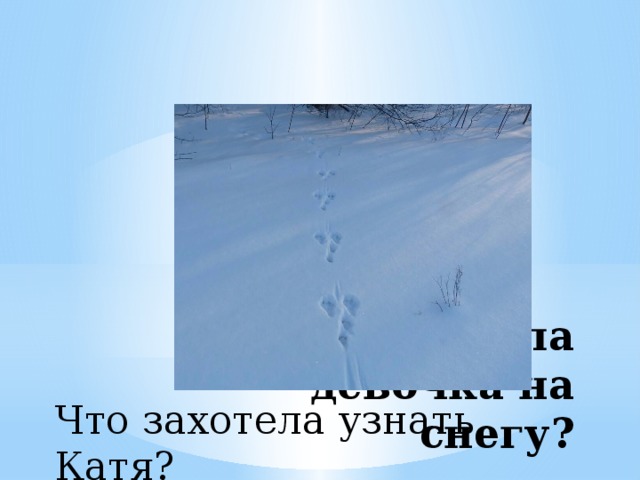 Что увидела девочка на снегу? Что захотела узнать Катя? 