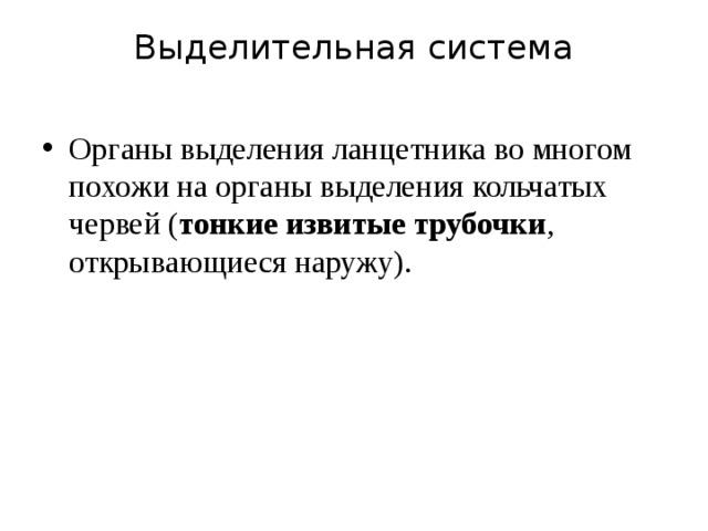Выделительная система   Органы выделения ланцетника во многом похожи на органы выделения кольчатых червей ( тонкие извитые трубочки , открывающиеся наружу). 