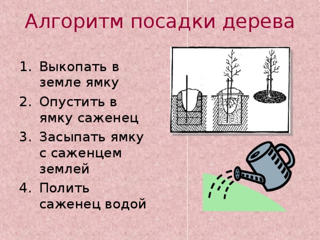 Тебе нужно посадить дерево составь план своих действий для этого выбери из