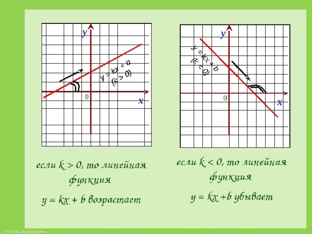 Виды функций и их графики: 1. Линейная функция 2. Функция 3. Квадратичная функция 4. Функция обратной пропорциональности 