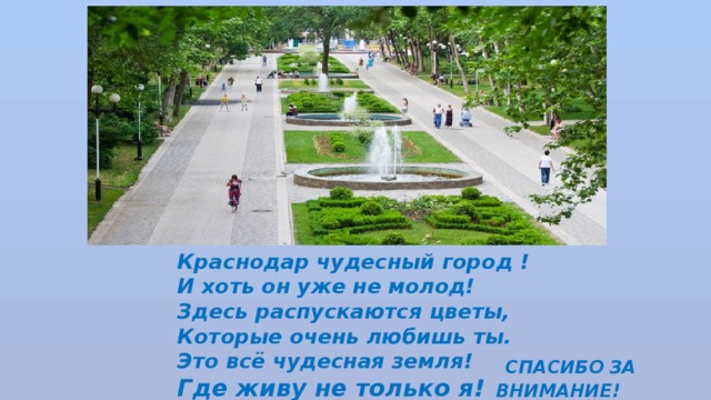 Краснодар чудесный город ! И хоть он уже не молод! Здесь распускаются цветы, Которые очень любишь ты. Это всё чудесная земля! Где живу не только я!  СПАСИБО ЗА ВНИМАНИЕ! 