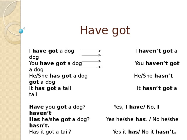 Have got I have got a dog I haven’t got a dog You have got a dog You haven’t got a dog He/She has got a dog He/She hasn’t got a dog It has got a tail It hasn’t got a tail Have you got a dog? Yes, I have / No, I haven’t Has he/she got a dog? Yes he/she has . / No he/she hasn’t. Has it got a tail? Yes it has / No it hasn’t.