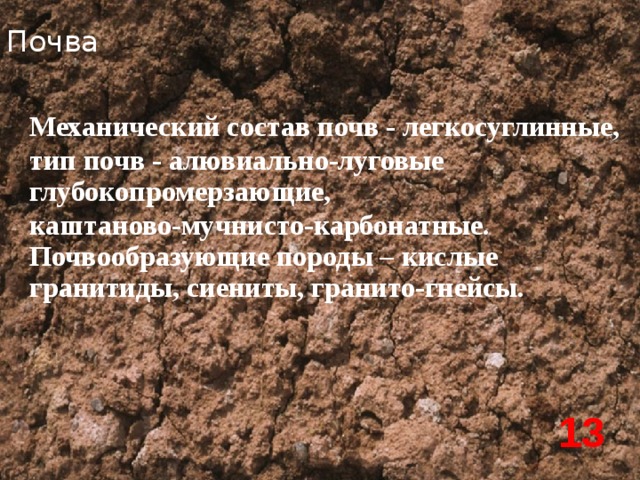 Почва Механический состав почв - легкосуглинные, тип почв - алювиально-луговые глубокопромерзающие, каштаново-мучнисто-карбонатные. Почвообразующие породы – кислые гранитиды, сиениты, гранито-гнейсы. 13 