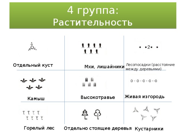 Отдельный какой. Условный знак кустарник. Топографический знак кустарник. Условное обозначение кустарника на карте. Кусты на карте обозначение.