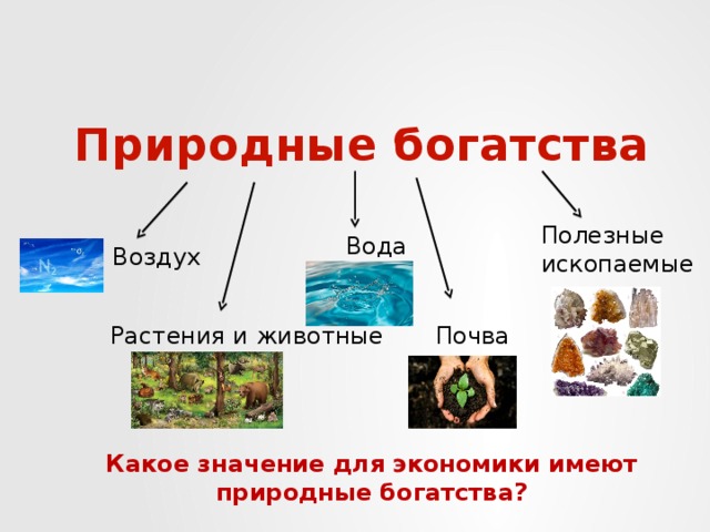 Какие богатства использует человек запиши