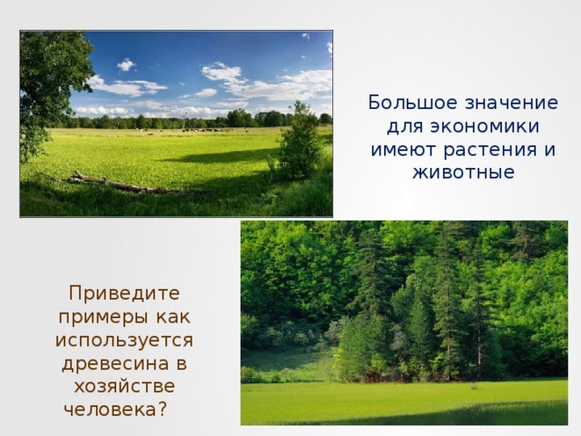 Природные богатства и труд людей основа экономики 3 класс окружающий мир презентация