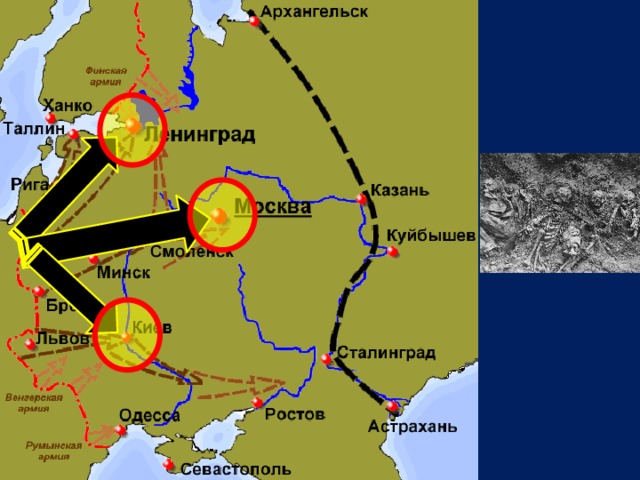 План барбаросса линия архангельск астрахань