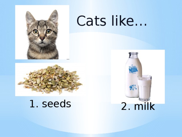 Cats like перевод. A Cat likes Milk. Cat likes Milk как правильно. Cat like Milk illustration. Do you like Cats?.