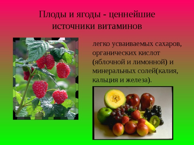 Плоды и ягоды - ценнейшие источники витаминов  легко усваиваемых сахаров, органических кислот (яблочной и лимонной) и минеральных солей(калия, кальция и железа). 