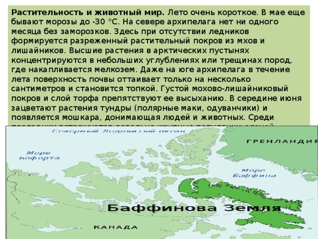 Растительность и животный мир.  Лето очень короткое. В мае еще бывают морозы до -30 °С. На севере архипелага нет ни одного месяца без заморозков. Здесь при отсутствии ледников формируется разреженный растительный покров из мхов и лишайников. Высшие растения в арктических пустынях концентрируются в небольших углублениях или трещинах пород, где накапливается мелкозем. Даже на юге архипелага в течение лета поверхность почвы оттаивает только на несколько сантиметров и становится топкой. Густой мохово-лишайниковый покров и слой торфа препятствуют ее высыханию. В середине июня зацветают растения тундры (полярные маки, одуванчики) и появляется мошкара, донимающая людей и животных. Среди последних встречаются довольно крупные популяции оленей-карибу и овцебыков. Безморозный период продолжается 1-4 мес., но за это короткое время в условиях длинного полярного дня успевают созреть северные ягоды, в основном голубика. 