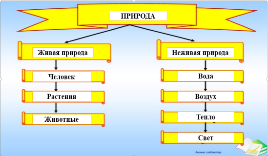 Поурочный план естествознание 5 класс