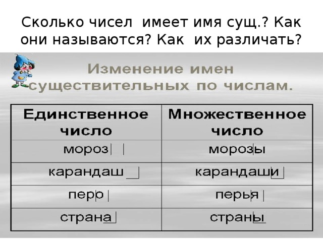 Сколько чисел имеет имя сущ.? Как они называются? Как их различать? 