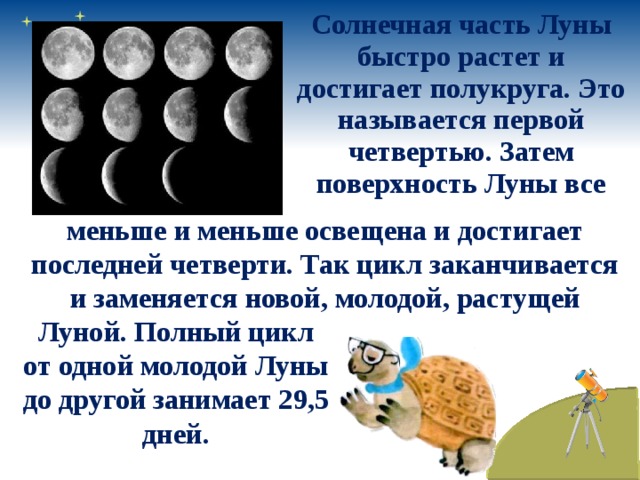Солнечная часть Луны быстро растет и достигает полукруга. Это называется первой четвертью. Затем поверхность Луны все  меньше и меньше освещена и достигает последней четверти. Так цикл заканчивается и заменяется новой, молодой, растущей Луной. Полный цикл от одной молодой Луны до другой занимает 29,5 дней. 