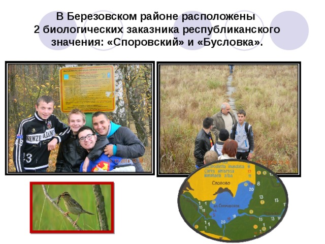В Березовском районе расположены  2 биологических заказника республиканского значения: «Споровский» и «Бусловка».