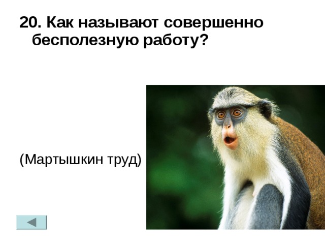 Называть совершенно. Бесполезный Мартышкин труд. Как называют совершенно бесполезную работу. Мартышкин труд прикол. Бесполезная работа как называют.