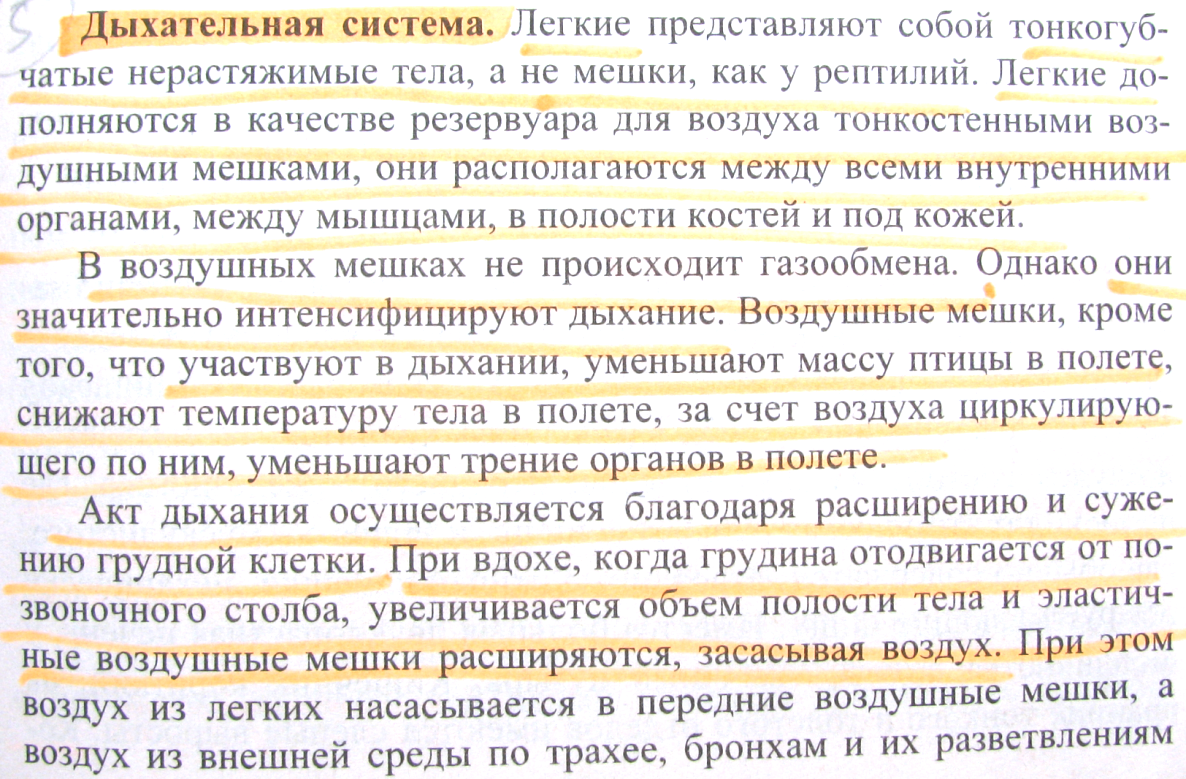 Класс Птицы. Общая характеристика класса Птицы