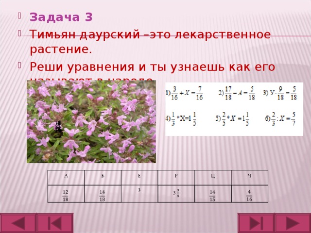 Задача 3 Тимьян даурский –это лекарственное растение. Реши уравнения и ты узнаешь как его называют в народе.  