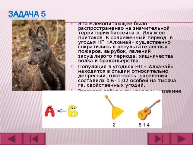 Это млекопитающее было распространенао на значительной территории бассейна р. Иля и ее притоков. В современный период в угодья НП «Алханай» существенно сократились в результате лесных пожаров, вырубок, явлений засушливого периода, хищничества волка и браконьерства. Популяция в угодьях НП « Алханай» находится в стадии относительно депрессии, плотность населения составила 0,6- 1,02 особей на тысяча га. свойственных угодий. Разгадай ребус и ты узнаешь название этого животного. 