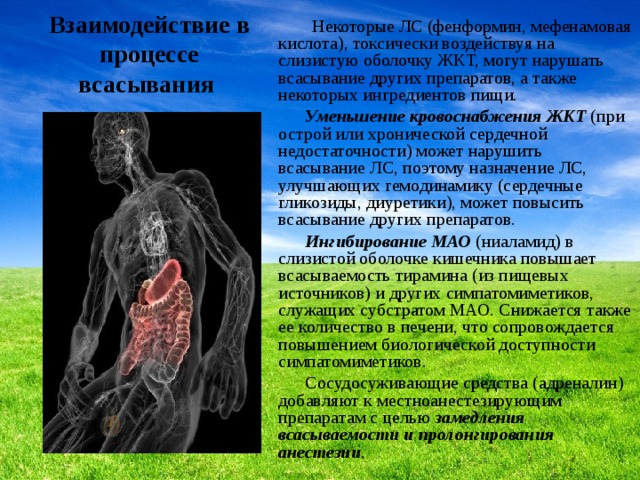 Взаимодействие в процессе всасывания  Некоторые ЛС (фенформин, мефенамовая кислота), токсически воздействуя на слизистую оболочку ЖКТ, могут нарушать всасывание других препаратов, а также некоторых ингредиентов пищи.  Уменьшение кровоснабжения ЖКТ (при острой или хронической сердечной недостаточности) может нарушить всасывание ЛС, поэтому назначение ЛС, улучшающих гемодинамику (сердечные гликозиды, диуретики), может повысить всасывание других препаратов.  Ингибирование МАО (ниаламид) в слизистой оболочке кишечника повышает всасываемость тирамина (из пищевых источников) и других симпатомиметиков, служащих субстратом МАО. Снижается также ее количество в печени, что сопровождается повышением биологической доступности симпатомиметиков.  Сосудосуживающие средства (адреналин) добавляют к местноанестезирующим препаратам с целью замедления всасываемости и пролонгирования анестезии . 