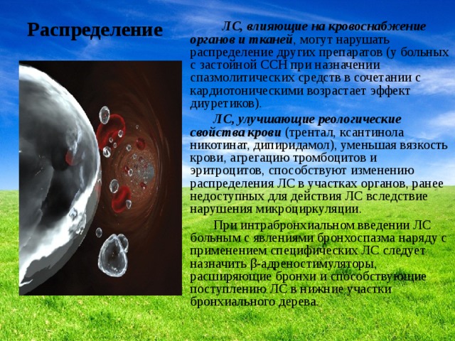  ЛС, влияющие на кровоснабжение органов и тканей , могут нарушать распределение других препаратов (у больных с застойной ССН при назначении спазмолитических средств в сочетании с кардиотоническими возрастает эффект диуретиков).  ЛС, улучшающие реологические свойства крови (трентал, ксантинола никотинат, дипиридамол), уменьшая вязкость крови, агрегацию тромбоцитов и эритроцитов, способствуют изменению распределения ЛС в участках органов, ранее недоступных для действия ЛС вследствие нарушения микроциркуляции.  При интрабронхиальном введении ЛС больным с явлениями бронхоспазма наряду с применением специфических ЛС следует назначить β-адреностимуляторы, расширяющие бронхи и способствующие поступлению ЛС в нижние участки бронхиального дерева. Распределение 