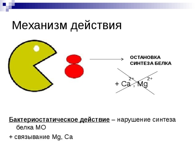 Механизм действия ОСТАНОВКА СИНТЕЗА БЕЛКА 2+ 2+ + Ca , Mg Бактериостатическое действие – нарушение синтеза белка МО + связывание Mg, Ca 
