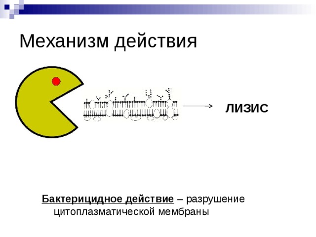 Механизм действия ЛИЗИС Бактерицидное действие – разрушение цитоплазматической мембраны 