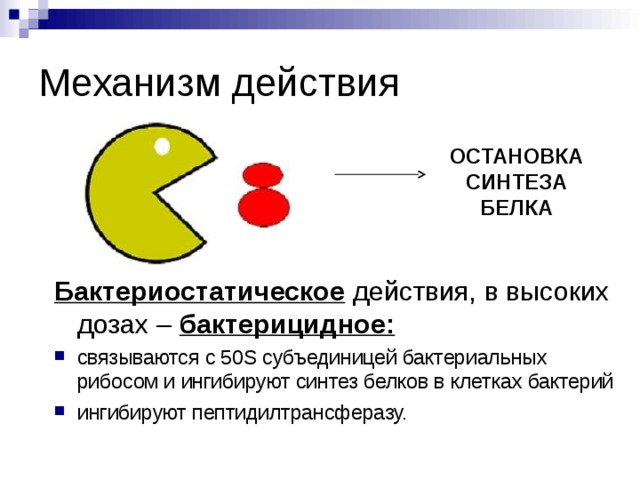 Механизм действия ОСТАНОВКА СИНТЕЗА БЕЛКА Бактериостатическое действия, в высоких дозах – бактерицидное: связываются с 50S субъединицей бактериальных рибосом и ингибируют синтез белков в клетках бактерий ингибируют пептидилтрансферазу.   