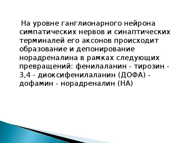  На уровне ганглионарного нейрона симпатических нервов и синаптических терминалей его аксонов происходит образование и депонирование норадреналина в рамках следующих превращений: фенилаланин - тирозин - 3,4 - диоксифенилаланин (ДОФА) - дофамин - норадреналин (НА) 