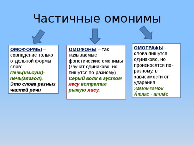 Значение омонимы омографы омофоны