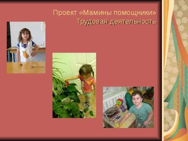 Проект «Мамины помощники»   Трудовая деятельность 