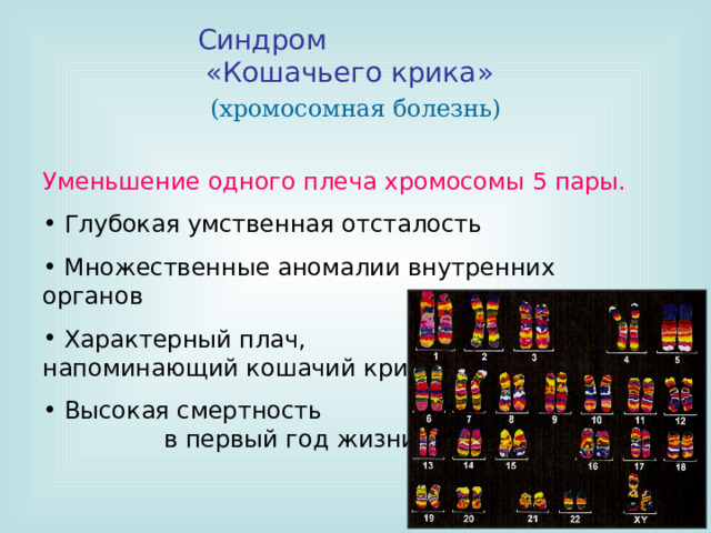 Каким номером на рисунке обозначен тип мутации характерный для больных с синдромом кошачьего крика