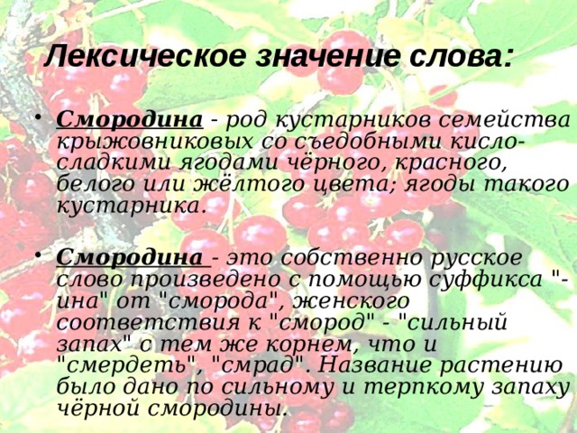 Значение слова производящее. Лексическое значение слова смородина. Происхождение слова смородина. Смородина от какого слова произошло. Значение слова ягода.