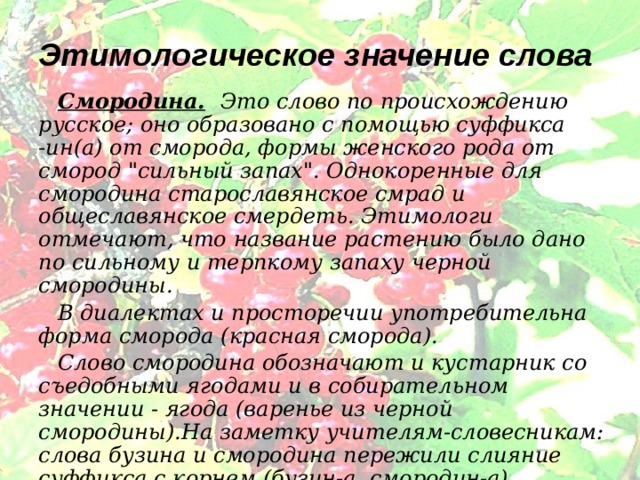 Расцвела смородина в городском саду текст песни. Происхождение слова смородина. Происхождение слова ягода.