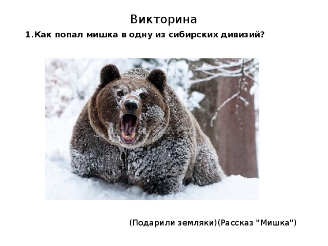 Викторина 1.Как попал мишка в одну из сибирских дивизий?   (Подарили земляки)(Рассказ 