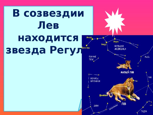 В созвездии Лев находится звезда Регул. 