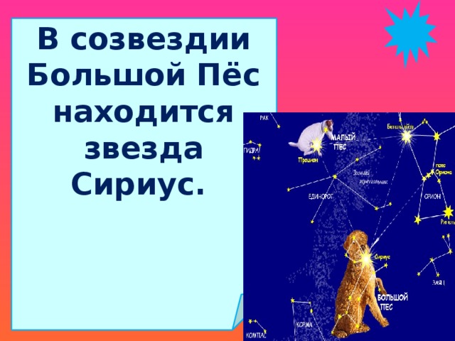 В созвездии Большой Пёс находится звезда Сириус. 