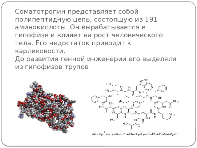 Соматотропин представляет собой полипептидную цепь, состоящую из 191 аминокислоты. Он вырабатывается в гипофизе и влияет на рост человеческого тела. Его недостаток приводит к карликовости.  До развития генной инженерии его выделяли из гипофизов трупов 