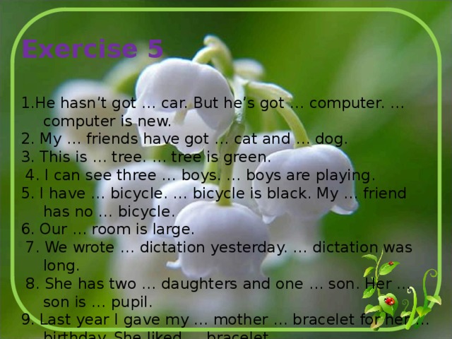 Exercise 5 1.He hasn’t got … car. But he’s got … computer. … computer is new. 2. My … friends have got … cat and … dog. 3. This is … tree. … tree is green.  4. I can see three … boys. … boys are playing. 5. I have … bicycle. … bicycle is black. My … friend has no … bicycle. 6. Our … room is large.  7. We wrote … dictation yesterday. … dictation was long.  8. She has two … daughters and one … son. Her … son is … pupil. 9. Last year I gave my … mother … bracelet for her … birthday. She liked … bracelet. 10. My … brother’s … friend has no … dog. 