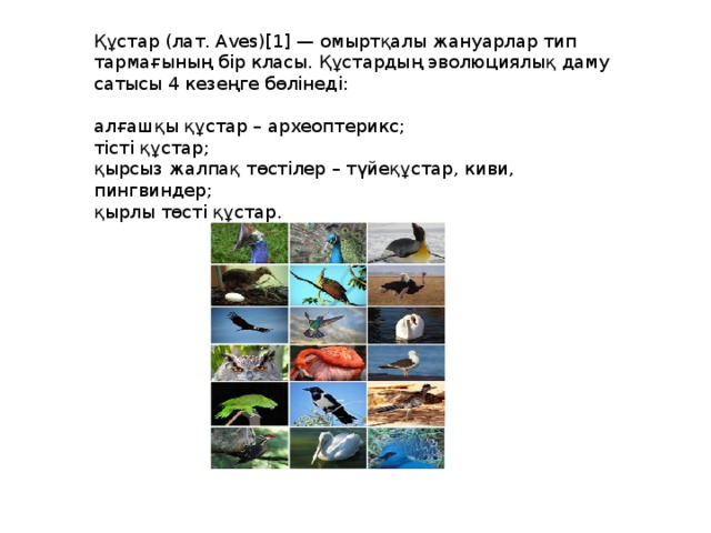 Құстар (лат. Aves)[1] — омыртқалы жануарлар тип тармағының бір класы. Құстардың эволюциялық даму сатысы 4 кезеңге бөлінеді: алғашқы құстар – археоптерикс; тісті құстар; қырсыз жалпақ төстілер – түйеқұстар, киви, пингвиндер; қырлы төсті құстар. 