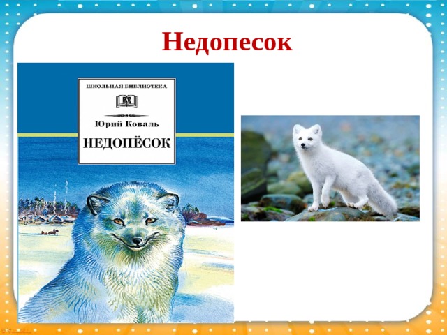 Недопесок. Песец Недопесок. Недопёсок. Недопесок фото животного. Голубой Недопесок животное.