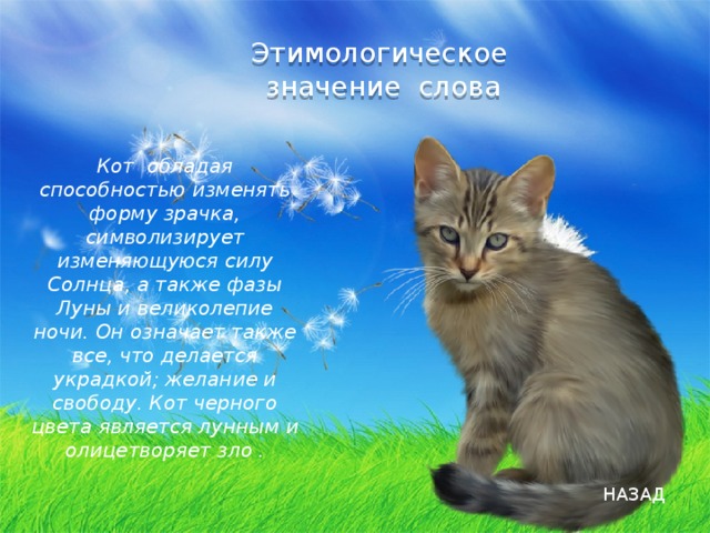 Кот текст