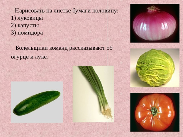  Нарисовать на листке бумаги половину:  1) луковицы  2) капусты  3) помидора  Болельщики команд рассказывают об огурце и луке. 