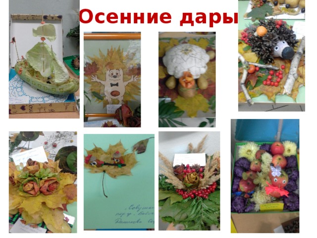 Осенние дары 