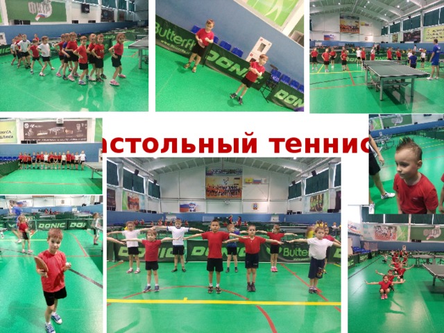 Настольный теннис 