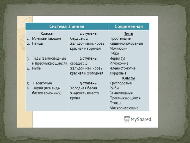 Идея развития органического мира в биологии 9 класс презентация