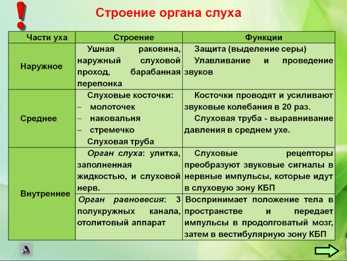 Функции слуха. Строение и функции органа слуха таблица. Строение и функции отделов органа слуха. Таблица по строению уха 8 класс. Слуховой анализатор таблица 8 класс биология.