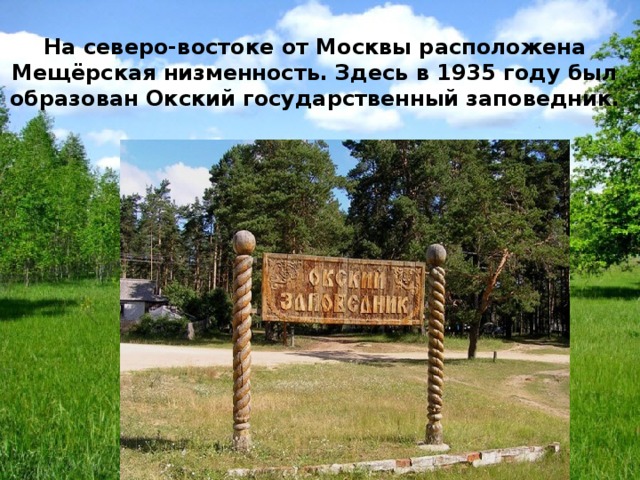 На северо-востоке от Москвы расположена Мещёрская низменность. Здесь в 1935 году был образован Окский государственный заповедник. 