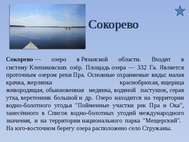  Сокорево Сокорево — озеро в Рязанской области. Входит в систему Клепиковских озёр. Площадь озера — 332 Га. Является проточным озером реки Пра. Основные охраняемые виды: малая крачка, жерлянка краснобрюхая, ящерица живородящая, обыкновенная медянка, водяной пастушок, серая утка, веретенник большой и др. Озеро находится на территории водно-болотного угодья 