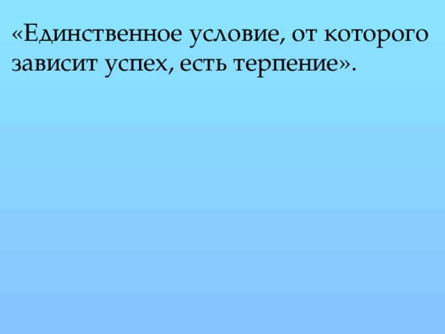 «Единственное условие, от которого зависит успех, есть терпение».