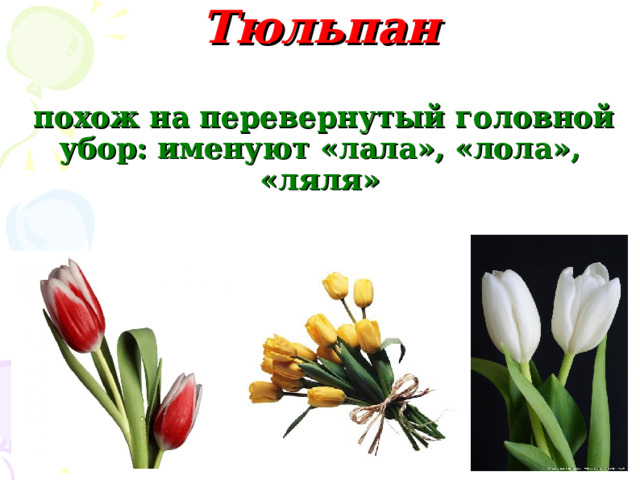 Тюльпан     похож на перевернутый головной убор: именуют «лала», «лола», «ляля» 